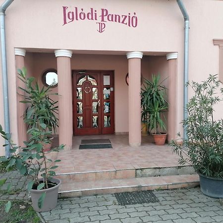 Iglodi Panzio Hotel Kunszentmarton Exterior photo